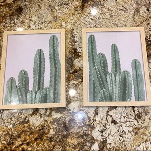 cactus frames